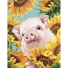 Diamond painting - Varken Zonnebloem