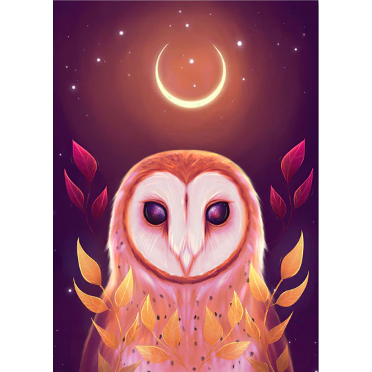 Diamond painting - Kerkuil Maan