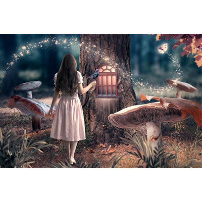 Diamond painting - Meisje In Sprookjesbos