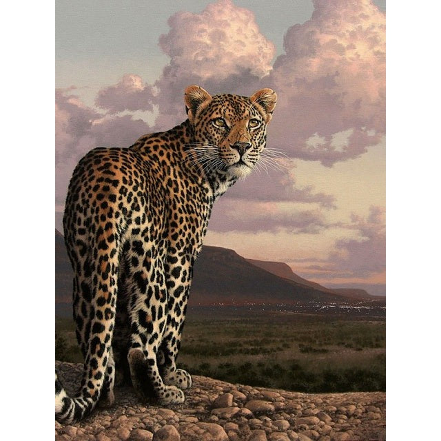 Diamond painting - Luipaard Landschap