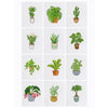 12 Mini Diamond Paintings - Kamerplanten set