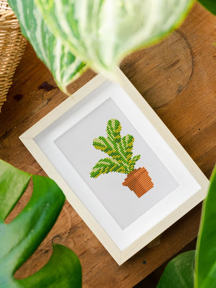 12 Mini Diamond Paintings - Kamerplanten set