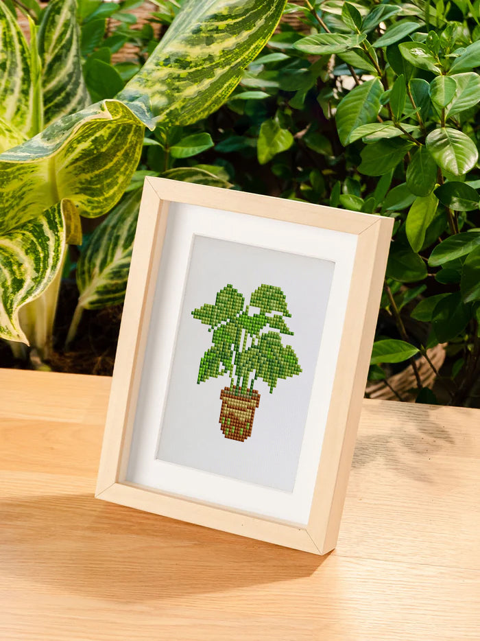 12 Mini Diamond Paintings - Kamerplanten set