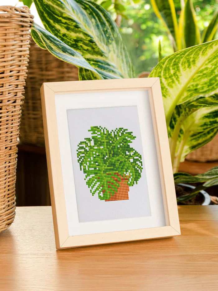 12 Mini Diamond Paintings - Kamerplanten set
