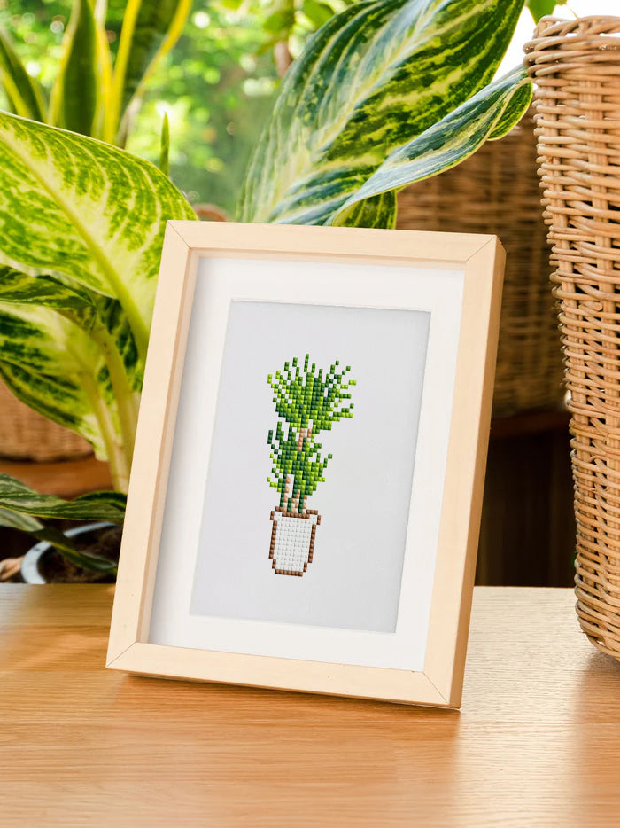 12 Mini Diamond Paintings - Kamerplanten set