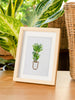 12 Mini Diamond Paintings - Kamerplanten set