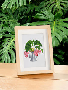 12 Mini Diamond Paintings - Kamerplanten set