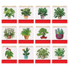 2026 Diamond Painting Bureaukalender - Planten Editie