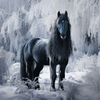 Zwart paard in de sneeuw