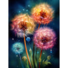 Gekleurde Paardebloemen