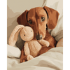 Bedtijdknuffel-Diamond Painting