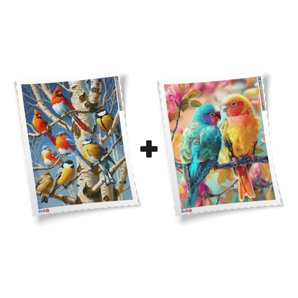 Black Friday Limited Edition Bundel - Prachtige Vogels