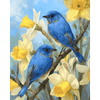 Lenteblauwvogels-Diamond Painting