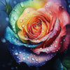 Regenboog roos