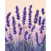 Lavendel - Diamond Painting