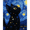 Kat in de Sterrennacht - Diamond Painting