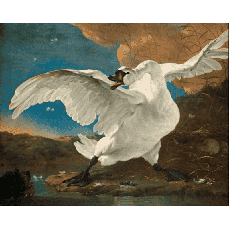 De bedreigde zwaan - Jan Asselijn - Diamond Painting