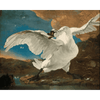 De bedreigde zwaan - Jan Asselijn - Diamond Painting