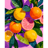 Kleurrijke Citrusvruchten - Diamond Painting
