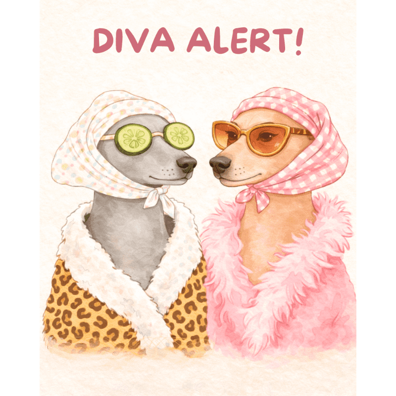 Diva-alarm - Diamond Painting