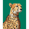 Wildlife-chic - Diamond Painting