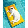 Kat bij het zwembad - Diamond Painting