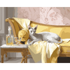 Trots - Diamond Painting