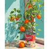 Sinaasappels in een blik - Diamond Painting