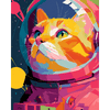 Kosmische kat - Diamond Painting