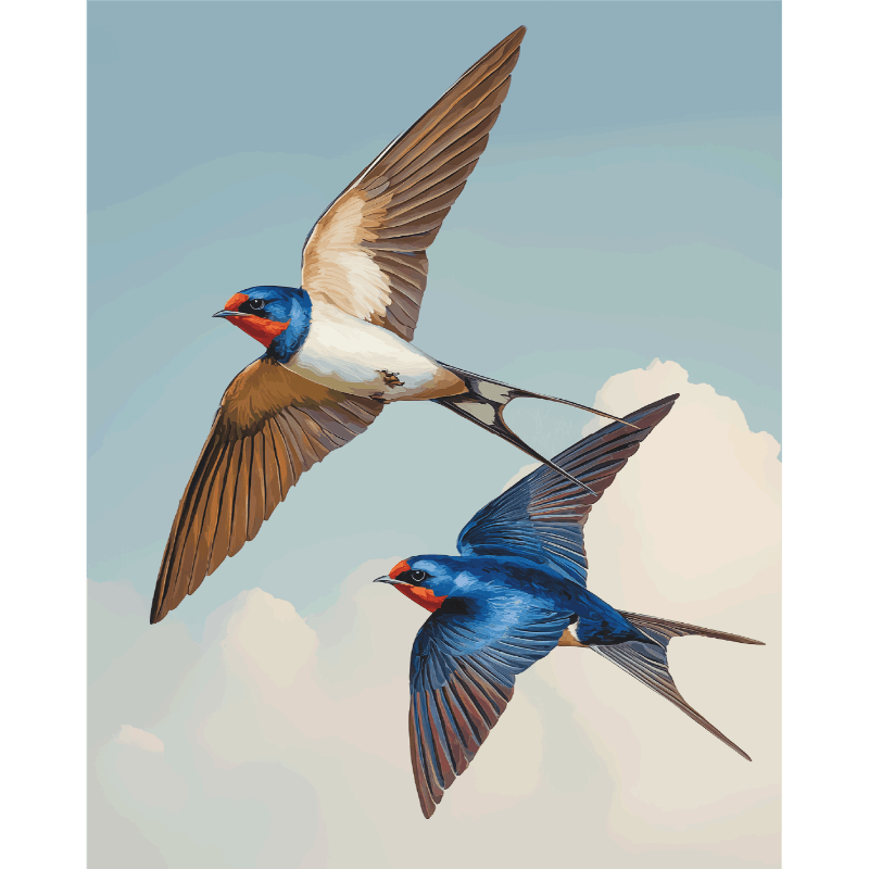 Liefdesvogels - Diamond Painting