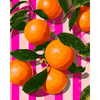 Citrus crush - Diamond Painting