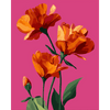 Bloei in scharlaken - Diamond Painting