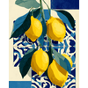 Mediterrane citrus - Diamond Painting