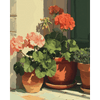Terracotta geraniums - Diamond Painting