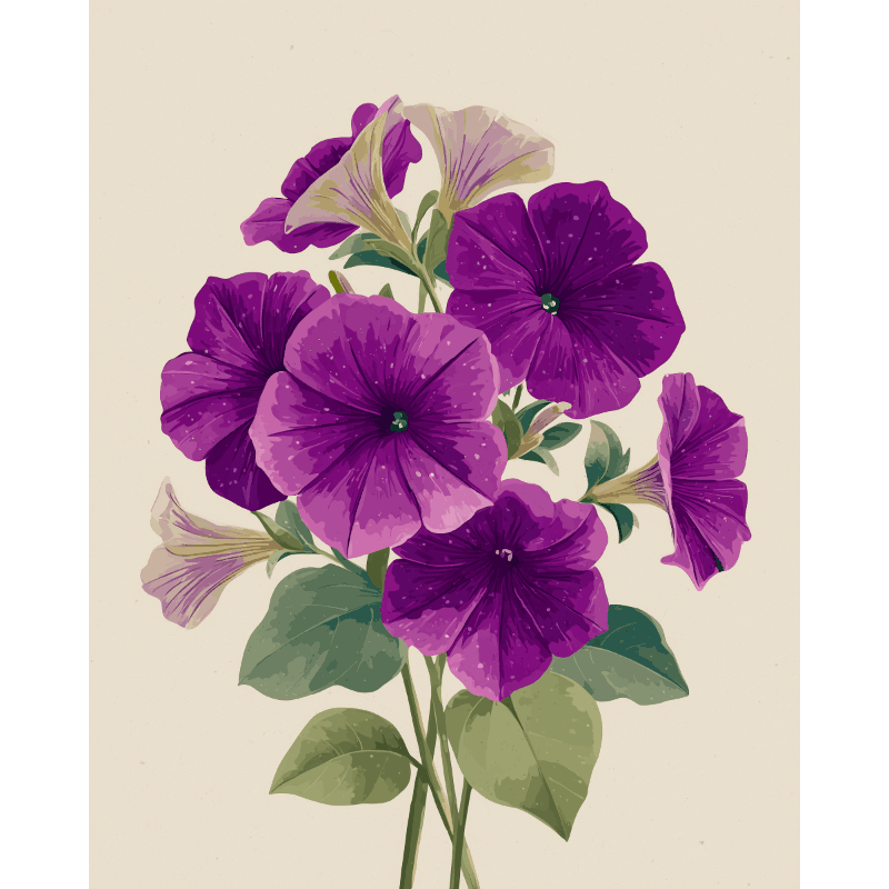 Fluwelen petunias - Diamond Painting