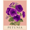 Petunia - Diamond Painting