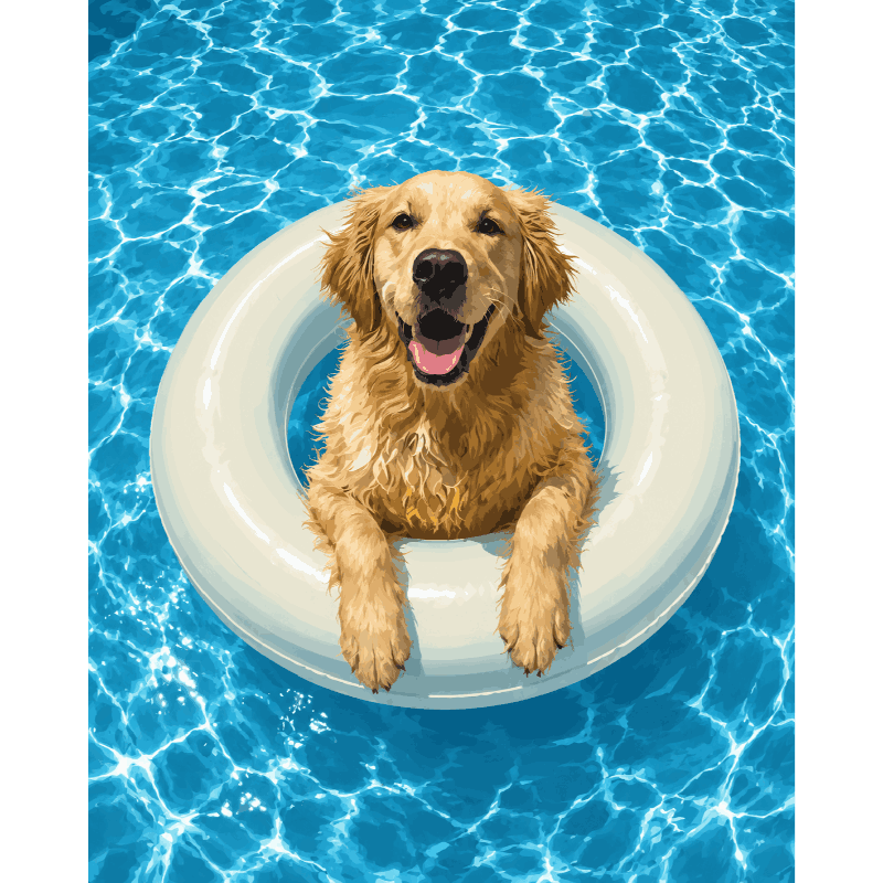 Zwemmende golden retriever - Diamond Painting