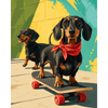 Skater teckel - Diamond Painting