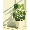 Groen minimalisme - Diamond Painting