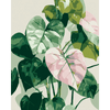Tropisch minimalisme - Diamond Painting