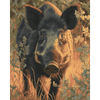 Everzwijn in de Veluwe - Diamond Painting