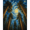Sterrennacht sequoia - Diamond Painting