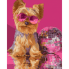 Yorkshire Terriër - Diamond Painting