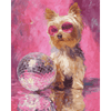 Disco lieveling - Diamond Painting