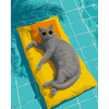 Grijze kat bij het zwembad - Diamond Painting
