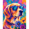 De coole metgezel - Diamond Painting