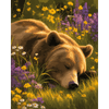 Slapende grizzly - Diamond Painting