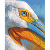 Pelikaanportret - Diamond Painting