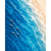 Dolfijnen van bovenaf - Diamond Painting