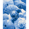 Schat van de oceaan - Diamond Painting